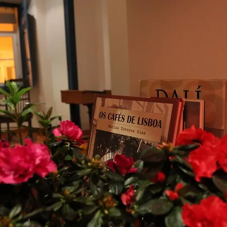 Magnificent Historical Centre With Terrace